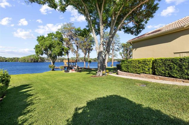 9901 MENANDER WOOD COURT, Odessa, FL 33556