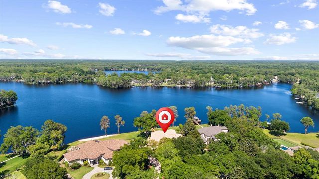 9901 MENANDER WOOD COURT, Odessa, FL 33556