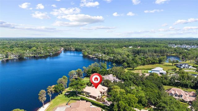 9901 MENANDER WOOD COURT, Odessa, FL 33556