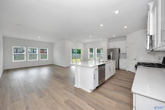 29543 Gallows Cove, Harvest, AL 35749