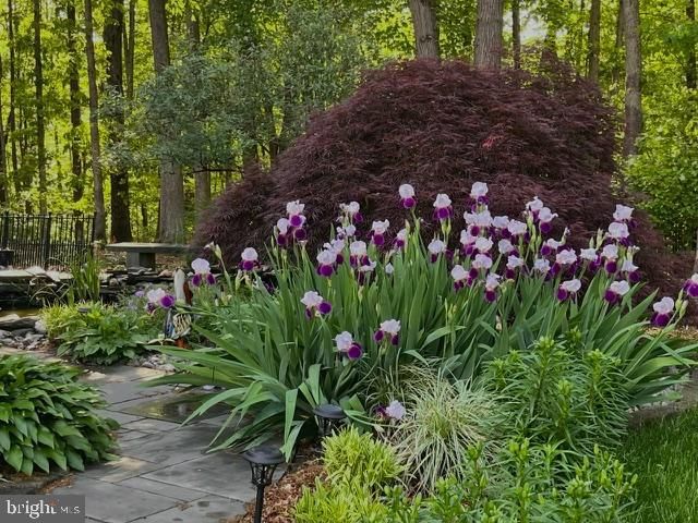 12524 PHILMONT DR, Herndon, VA 20170