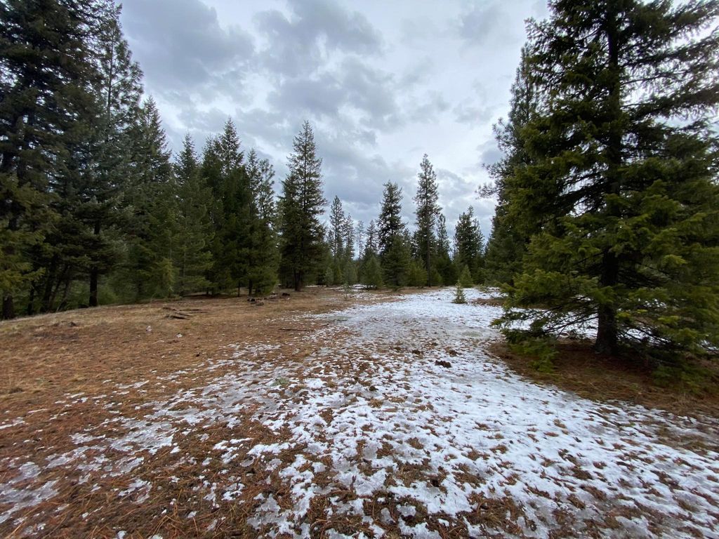 Nhn Cyr Iron Mountain Road, Superior, MT 59872 photo 12