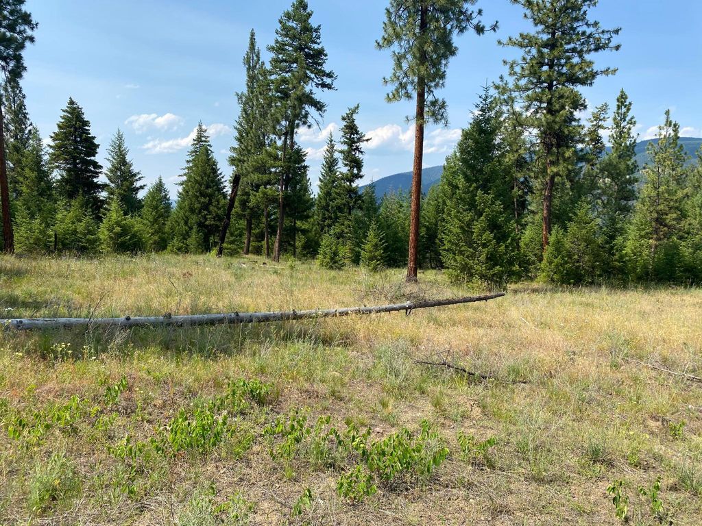 Nhn Cyr Iron Mountain Road, Superior, MT 59872 photo 15