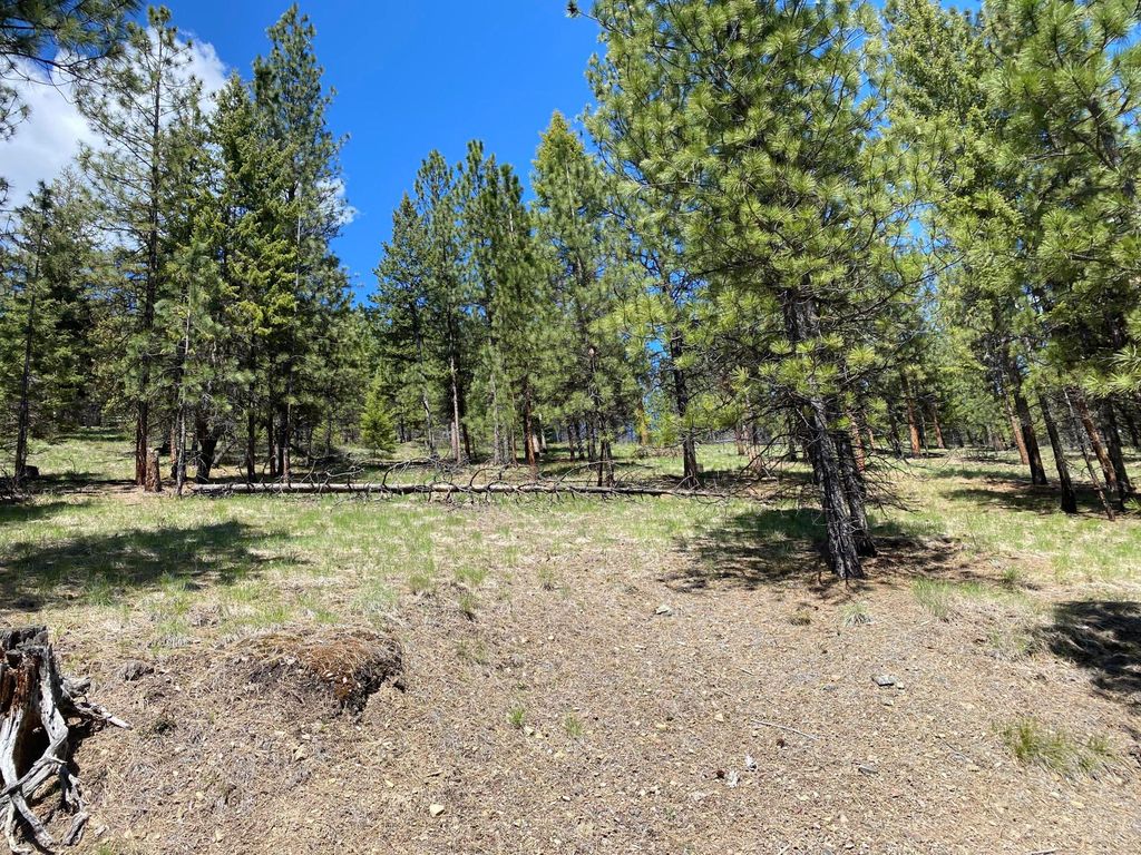 Nhn Cyr Iron Mountain Road, Superior, MT 59872 photo 22