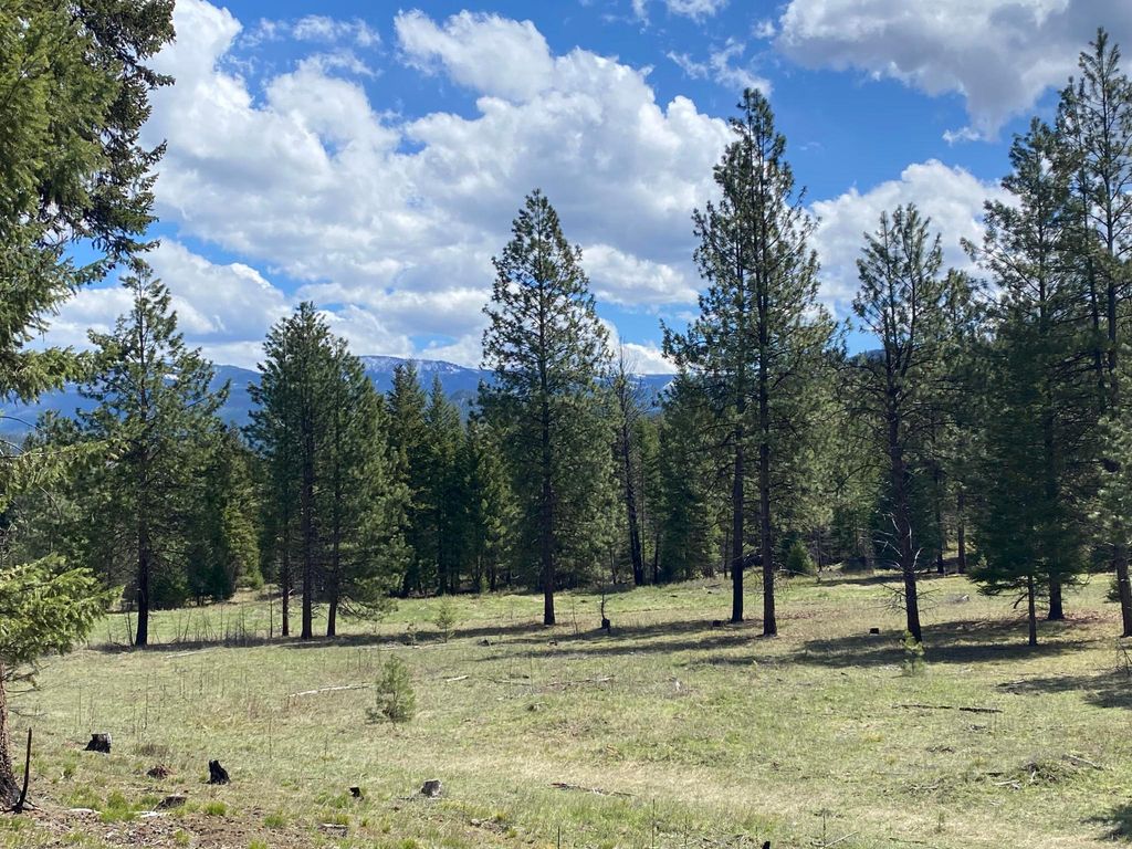 Nhn Cyr Iron Mountain Road, Superior, MT 59872 photo 6