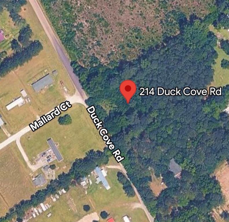 214 Duck Cove Rd., Conway, SC 29526 — photo 3