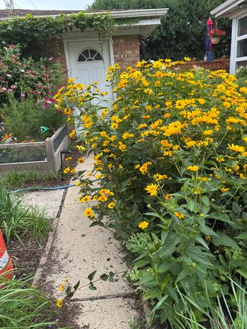 8136 Kenton Avenue, Skokie, IL 60076