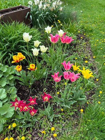 8136 Kenton Avenue, Skokie, IL 60076