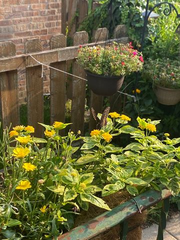 8136 Kenton Avenue, Skokie, IL 60076