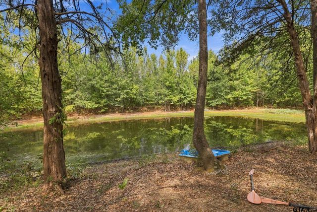 14118 C R 471, Tyler, TX 75706
