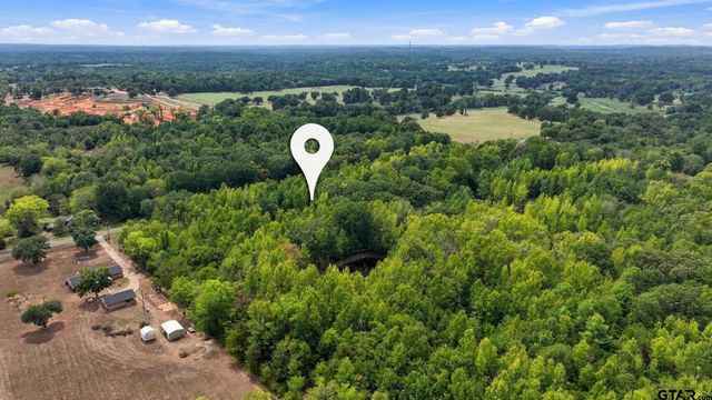 14118 C R 471, Tyler, TX 75706