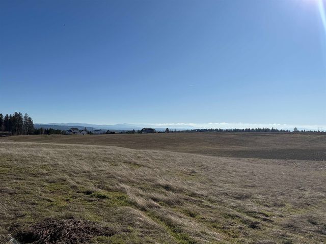 21200 N N Division Rd, Colbert, WA 99005