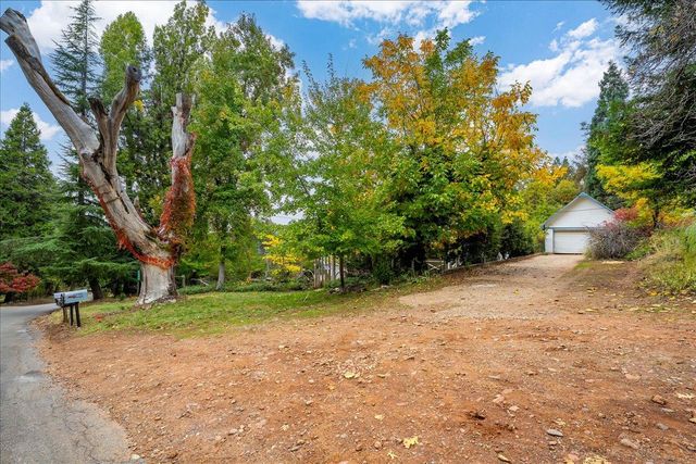 9501 Grizzly Flat Rd, Grizzly Flats, CA 95636