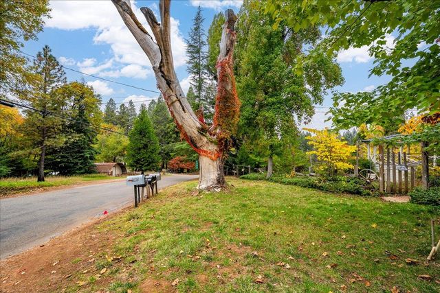 9501 Grizzly Flat Rd, Grizzly Flats, CA 95636
