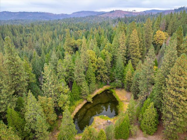 9501 Grizzly Flat Rd, Grizzly Flats, CA 95636