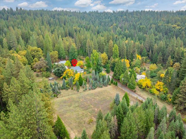 9501 Grizzly Flat Rd, Grizzly Flats, CA 95636
