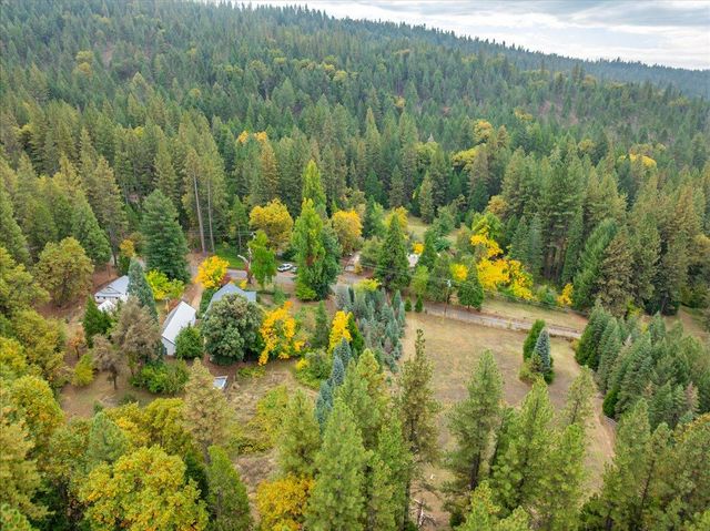 9501 Grizzly Flat Rd, Grizzly Flats, CA 95636