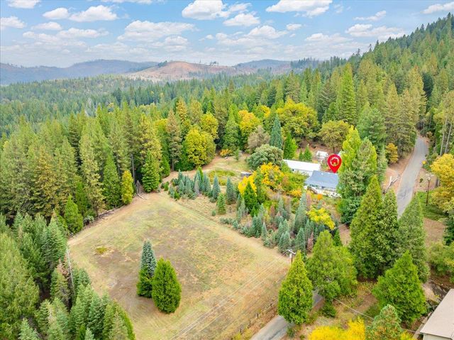 9501 Grizzly Flat Rd, Grizzly Flats, CA 95636
