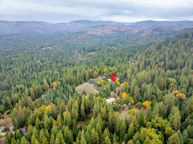 9501 Grizzly Flat Rd, Grizzly Flats, CA 95636
