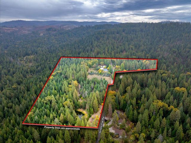 9501 Grizzly Flat Rd, Grizzly Flats, CA 95636