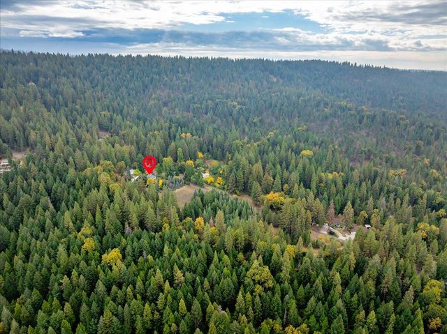 9501 Grizzly Flat Rd, Grizzly Flats, CA 95636