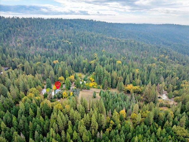 9501 Grizzly Flat Rd, Grizzly Flats, CA 95636