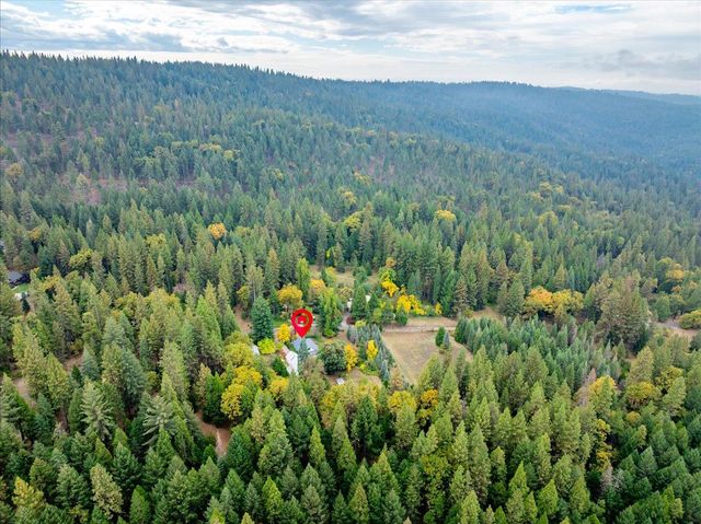 9501 Grizzly Flat Rd, Grizzly Flats, CA 95636
