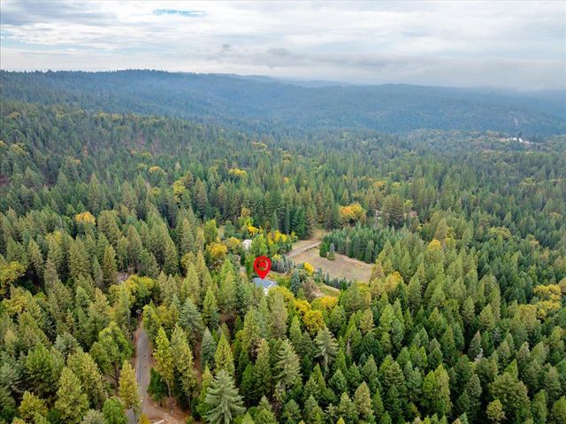9501 Grizzly Flat Rd, Grizzly Flats, CA 95636