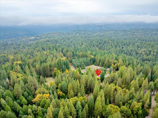 9501 Grizzly Flat Rd, Grizzly Flats, CA 95636