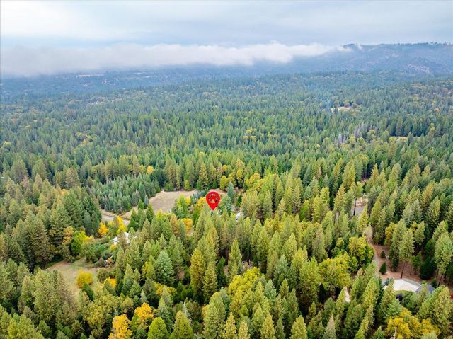 9501 Grizzly Flat Rd, Grizzly Flats, CA 95636