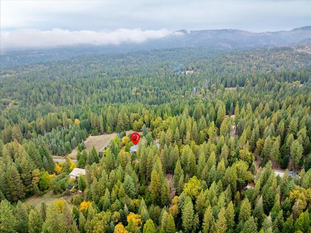 9501 Grizzly Flat Rd, Grizzly Flats, CA 95636