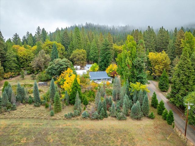 9501 Grizzly Flat Rd, Grizzly Flats, CA 95636