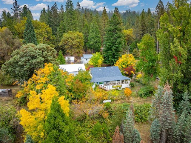 9501 Grizzly Flat Rd, Grizzly Flats, CA 95636
