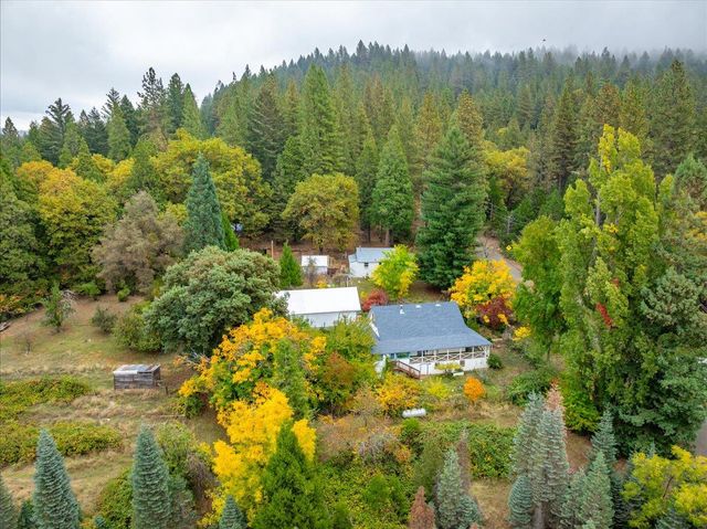 9501 Grizzly Flat Rd, Grizzly Flats, CA 95636