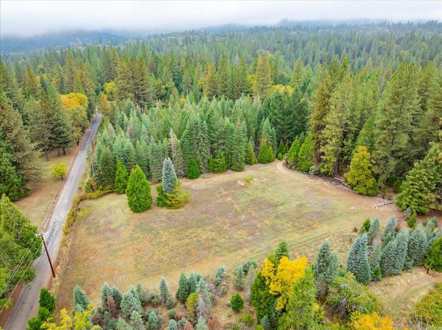 9501 Grizzly Flat Rd, Grizzly Flats, CA 95636