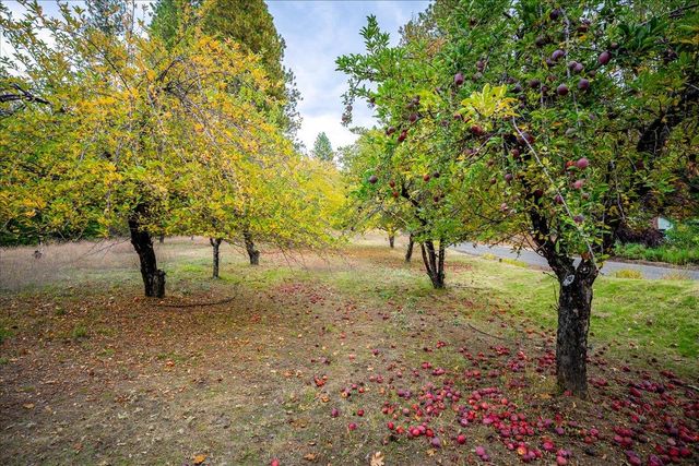 9501 Grizzly Flat Rd, Grizzly Flats, CA 95636