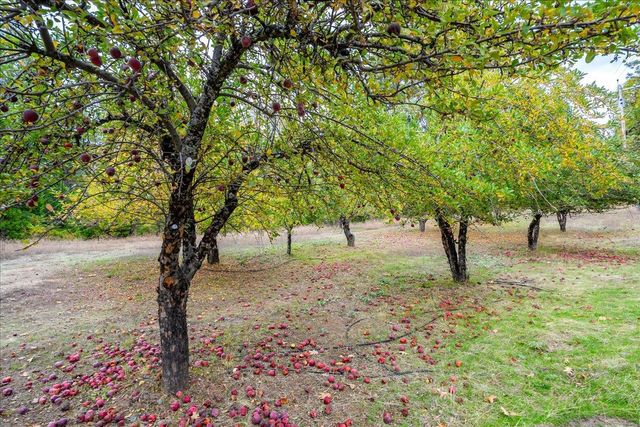 9501 Grizzly Flat Rd, Grizzly Flats, CA 95636