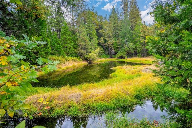 9501 Grizzly Flat Rd, Grizzly Flats, CA 95636