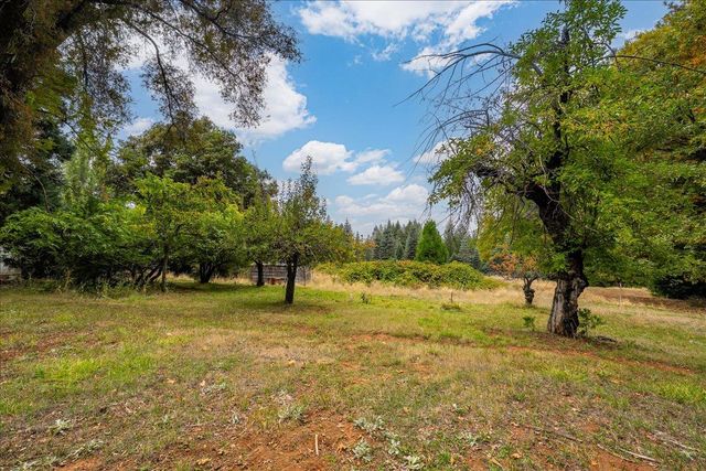 9501 Grizzly Flat Rd, Grizzly Flats, CA 95636