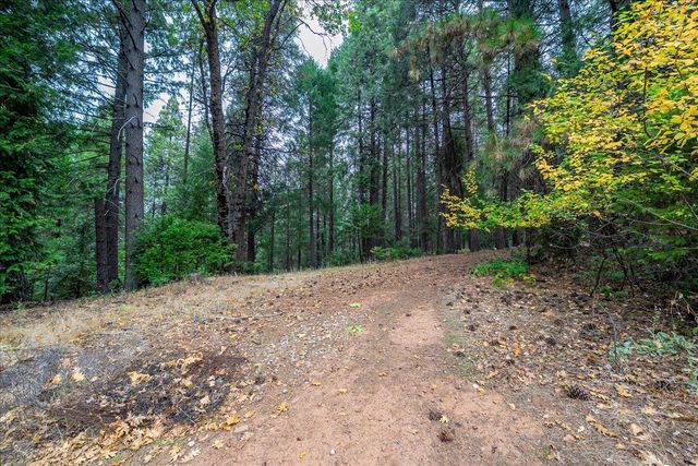 9501 Grizzly Flat Rd, Grizzly Flats, CA 95636