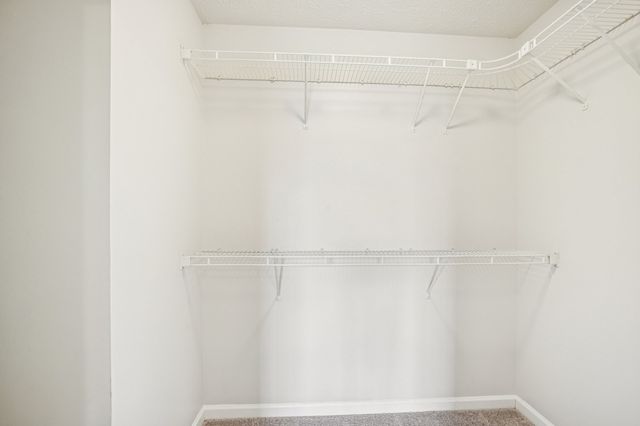 7018 Mudshark Pl, Smyrna, TN 37167