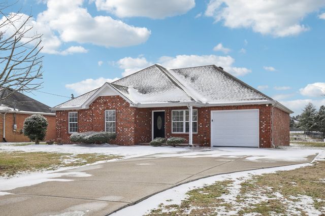 7018 Mudshark Pl, Smyrna, TN 37167