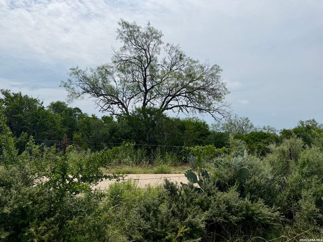 2018 STRAWBERRY CITY RD, Poteet, TX 78065