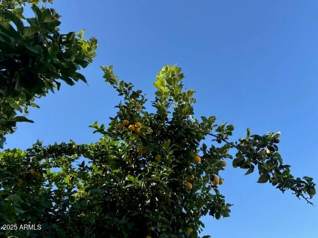 5041 N 83RD Street, Scottsdale, AZ 85250