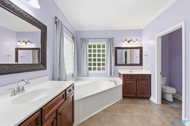 127 Sage Willow Drive SW, Madison, AL 35756