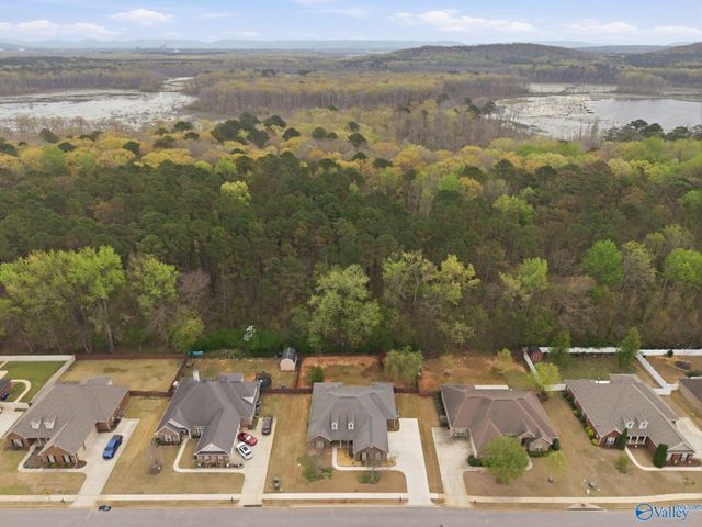 127 Sage Willow Drive SW, Madison, AL 35756