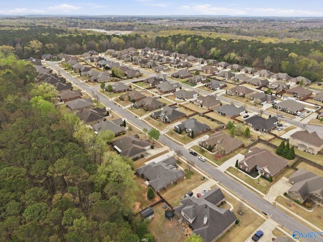 127 Sage Willow Drive SW, Madison, AL 35756