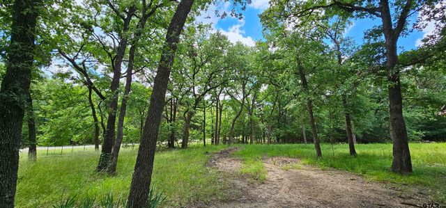 10092 CR 2440, Royse City, TX 75189