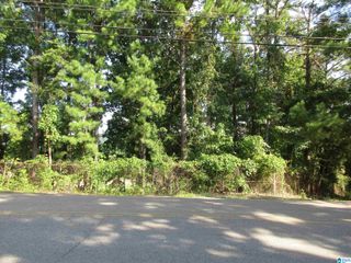 2555 GOSS STREET, Birmingham, AL 35211