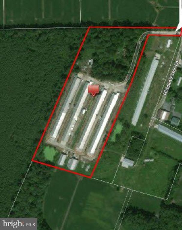 13135 HIDDEN ACRES LN, Bishopville, MD 21813